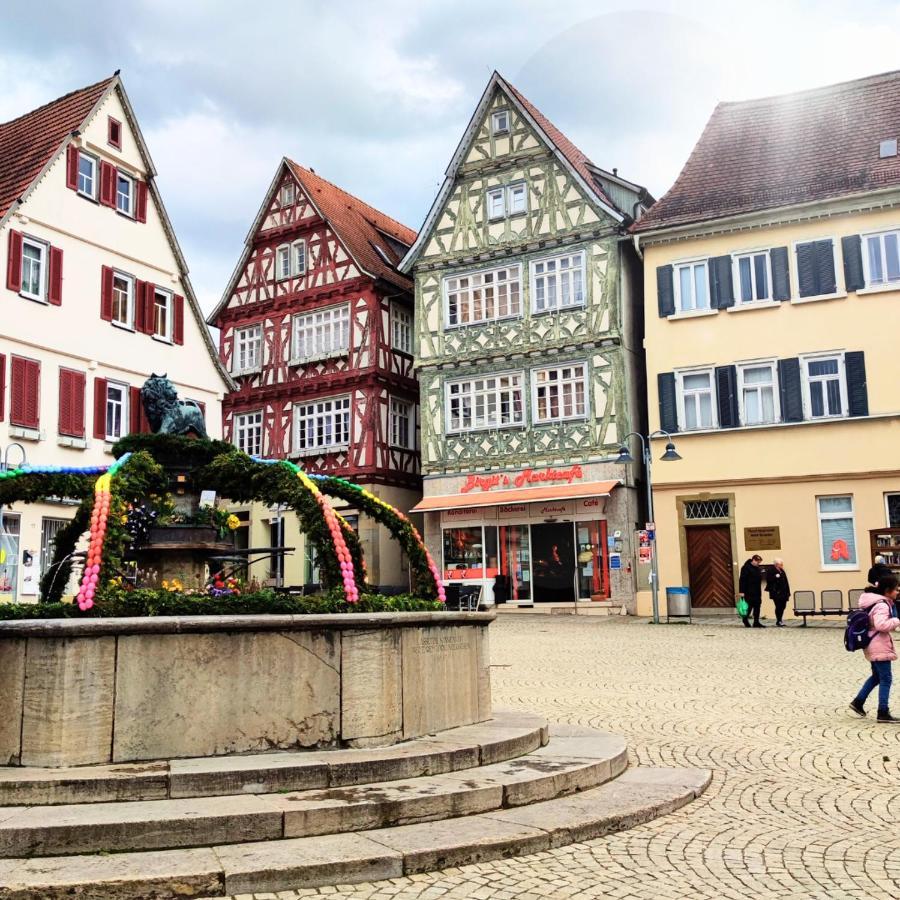 Im Herzen Der Altstadt Vaihingen an der Enz Dış mekan fotoğraf
